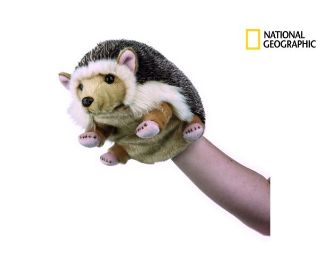 Obrázek z National Geographic maňásek ježek 26cm 